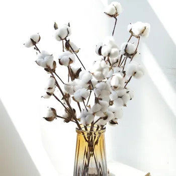 Természetesen Szárított Pamut Virágot, Ágat 4-21 Fejét Pamut Csokor Fehér Virágos, Dekorációs Növények Esküvői Party Dekoráció Otthon