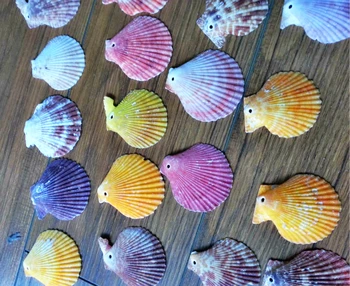 HappyKiss 50pcs/sok Természetes kagylóban színes lakberendezési romantikus baileyi akvárium váza kiegészítők kézműves